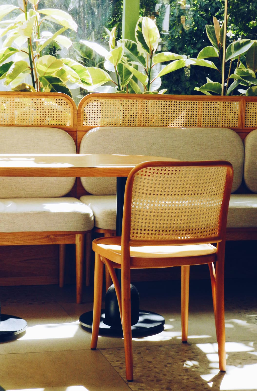Sunlit café corner with a cane chair, cushioned bench and plants in the window