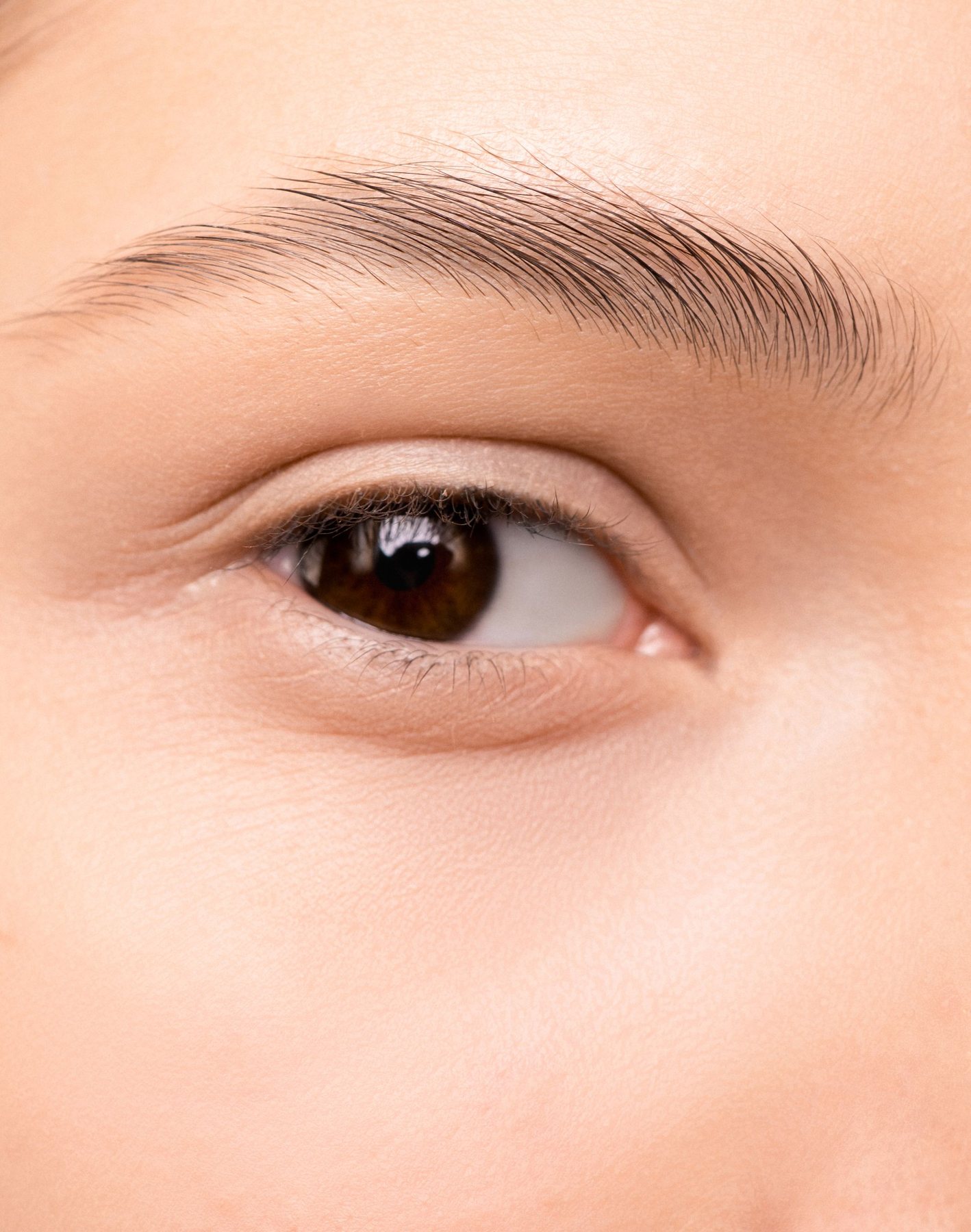 Fine brow hairs brushed up above a brown eye