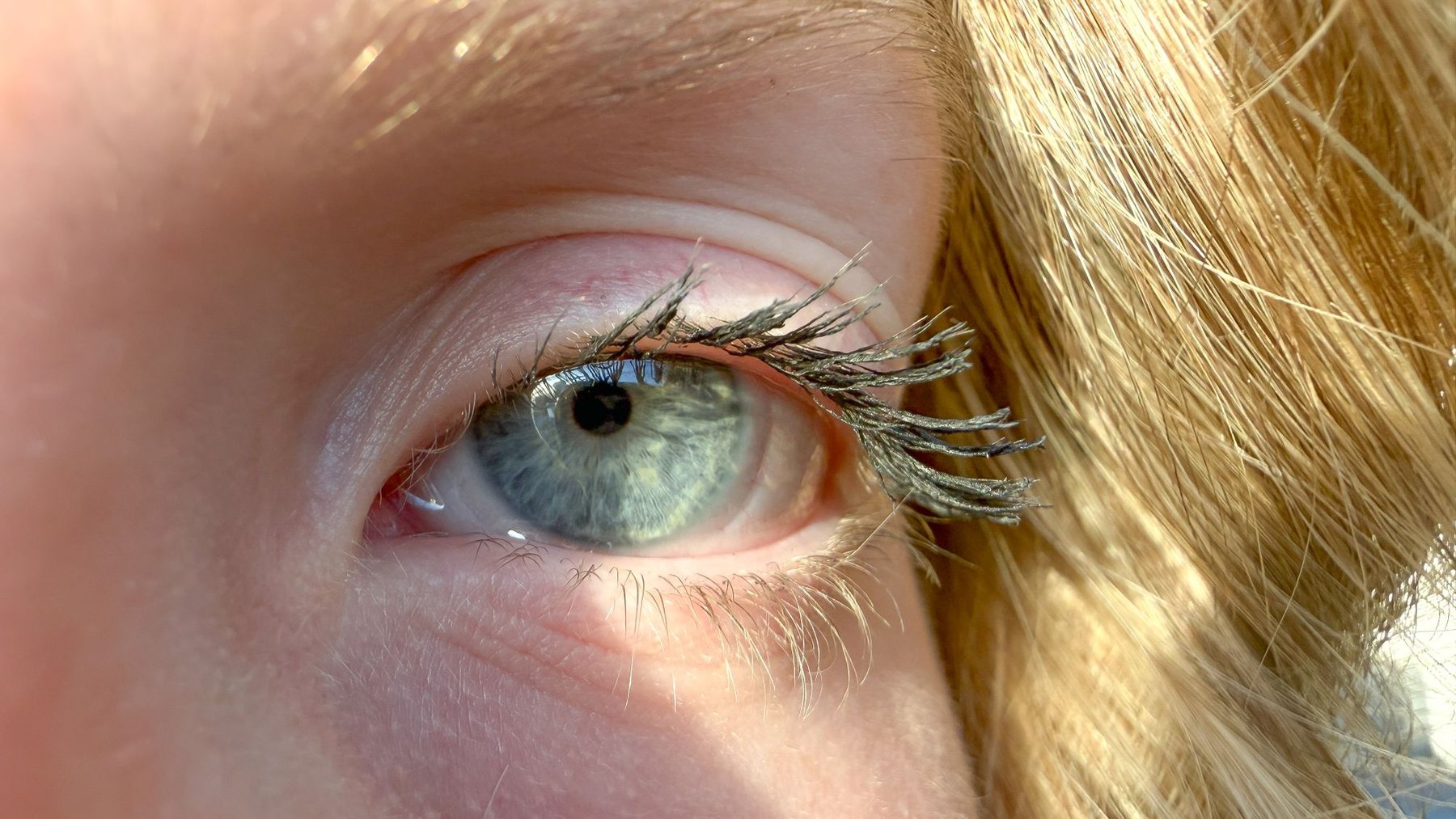 Long, lifted lashes over a blue eye in sunlight