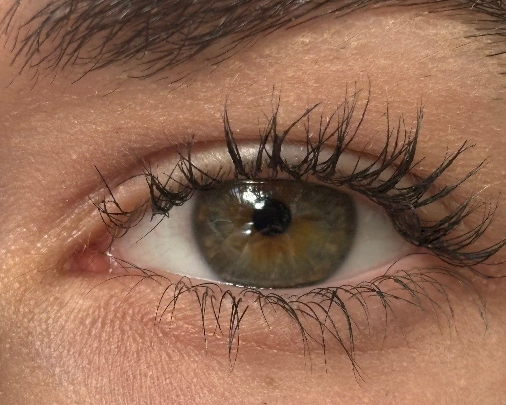 Lifted, curled upper lashes