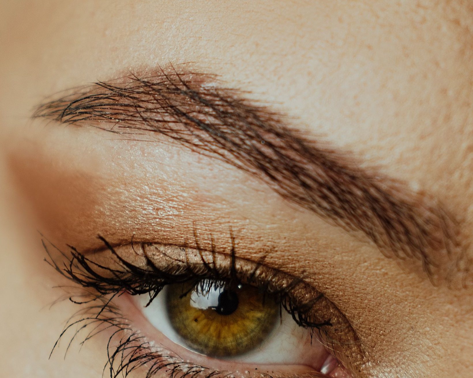 A soft, full powder brow with a defined arch