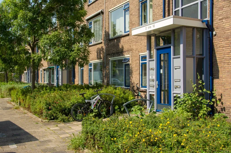 A brick ground floor home with a blue front door and pots of plants by the steps